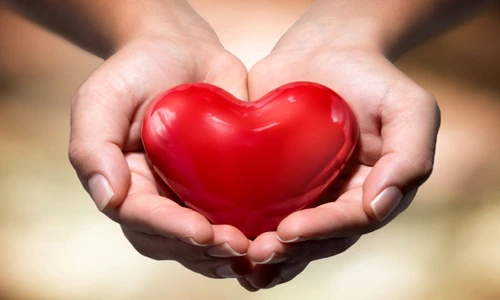 1 78675 original jpg jpeg