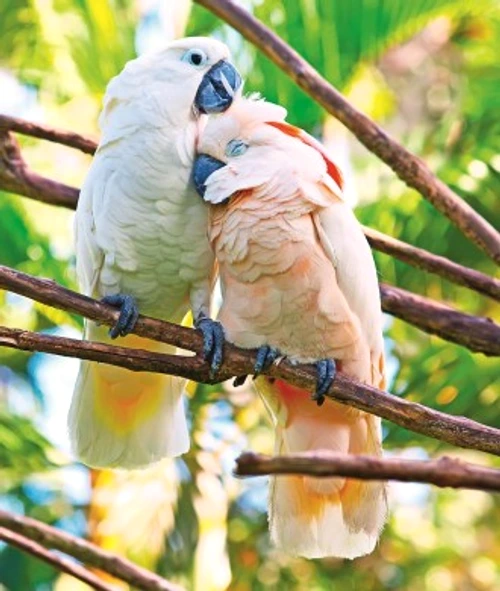 052bcb17647716f5b63f65064e5b5edd jpg jpeg