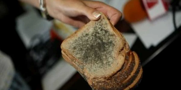 Bucureşti: Gândaci pe aluat şi tăvi de pâine pe post de scrumieră
