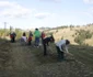 drumul romanilor  6