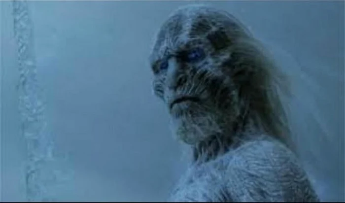 Daniel Niculae a jucat la Rapid pe vremea când