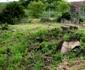 Cimitirul vechi evreiesc din Hunedoara. FOTO