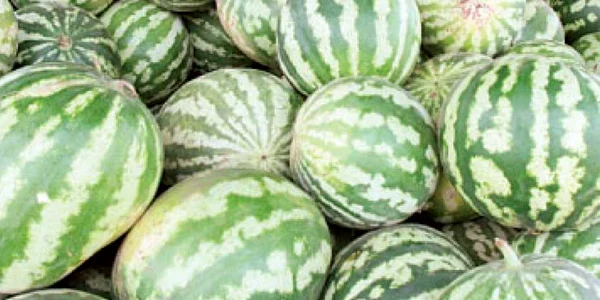 Biocombustibil  din pepene roşu