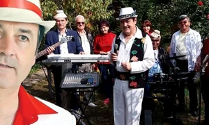 banner Nelu Vlad azur 