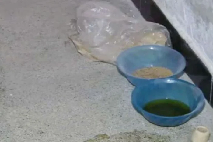 Mâncarea era pusă în boluri pentru animale