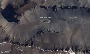 donjuanpond ali nasa jpg