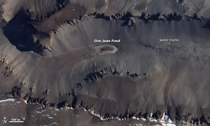 donjuanpond ali nasa jpg