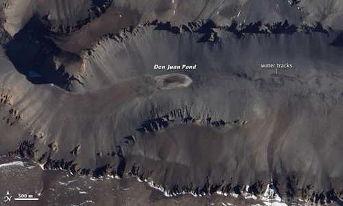 donjuanpond ali nasa jpg