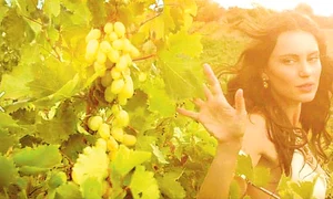 CLIIMA20140108 0119 1 jpeg