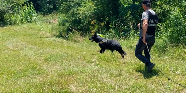 cautari politie foto Politia Gorj