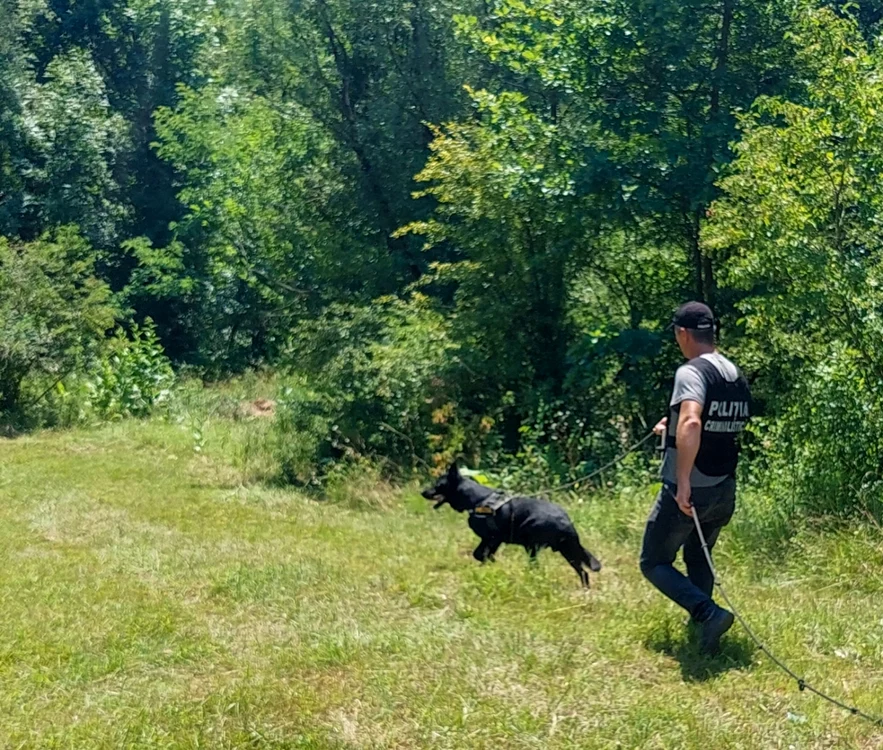 Femeia dispărută este căutată cu doi câini de urmă                                               Foto: Poliţia Gorj
