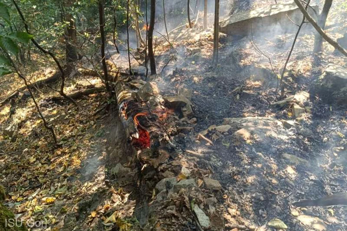 Incendiu în Defileul Jiului FOTO ISU Gorj