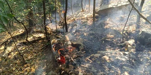 Incendiu în Defileul Jiului FOTO ISU Gorj