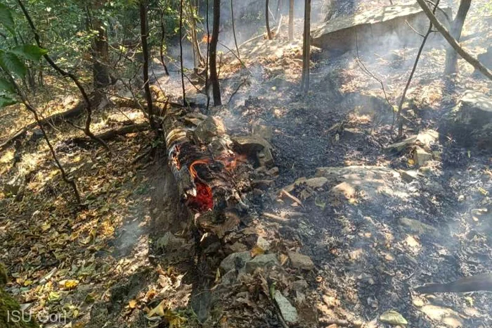 Incendiu în Defileul Jiului FOTO ISU Gorj