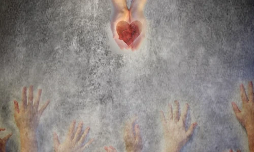 1 52899 original jpg jpeg