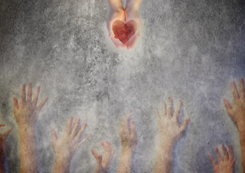 1 52899 original jpg jpeg