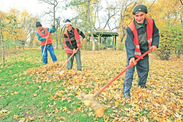 
    Reporterii Click! au descoperit ce se întâmplă toamna cu mizeria din parcurile şi de pe străzile CapitaleiFoto: Roberto Sălceanu  