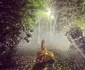 Andreea Esca, imagini de la nunta Anei Geoană