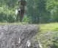 Enduro Moreni