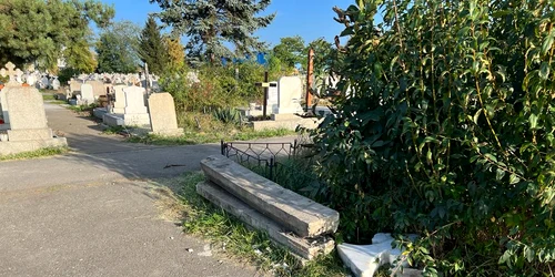 WhatsApp Image 2023 10 04 at 16 32 35 jpeg