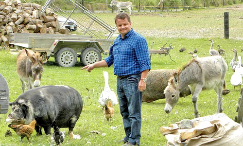 Noua Zeelandă jpeg