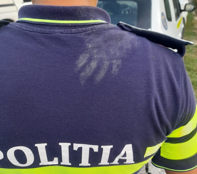 Copil cu sindrom Down, găsit de polițist în pădurice. „Am simțit disperarea acestui copil de a fi pierdut pentru totdeauna“ 