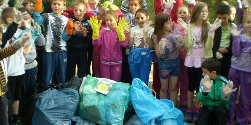 Ecologizare la Bididia