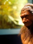 Omul de Neanderthal (© Paul Hudson / Flickr)