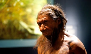 Omul de Neanderthal (© Paul Hudson / Flickr)