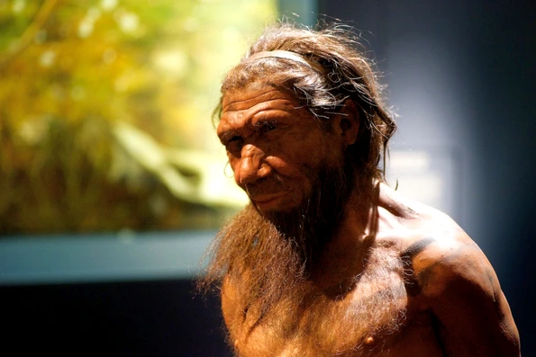 Omul de Neanderthal (© Paul Hudson / Flickr)