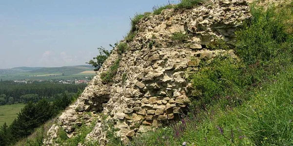 Ruină Cetatea Şcheia