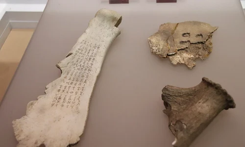 Oase oracol datând de la sfârșitul dinastiei Shang (© Gary Lee Todd, Ph.D / Wikimedia Commons)