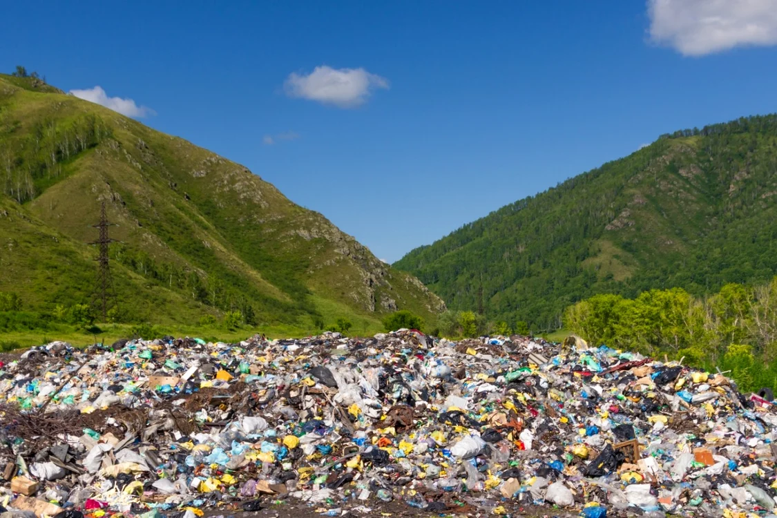 gunoaie in natura foto shutterstock