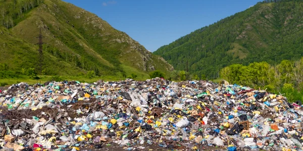 gunoaie in natura foto shutterstock