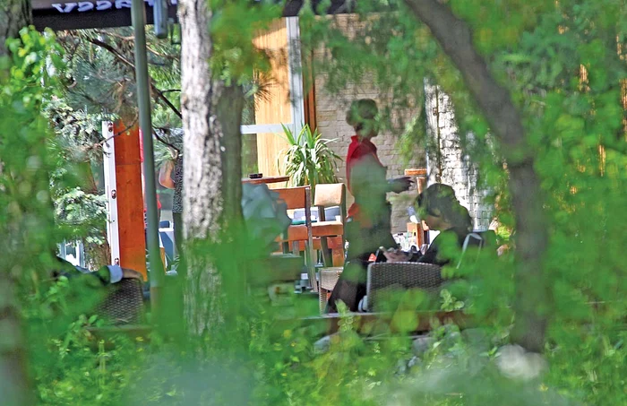 Soţia lui Năstase şi-a comandat o apă plată