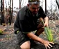 Natura îşi revine în Australia. FOTO EPA-EFE