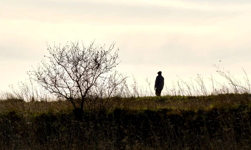 1 shutterstock 1918697741 jpg jpeg