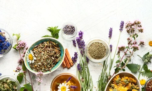 1 shutterstock 1442439833 jpg jpeg