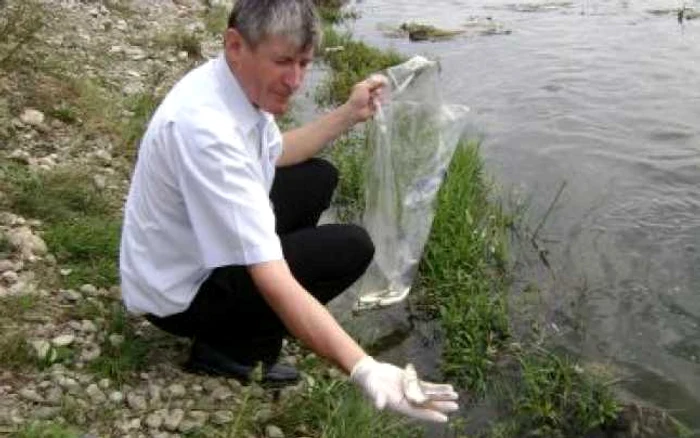 Bacău: Sute de peşti morţi, găsiţi de pescari în râul Bistriţa