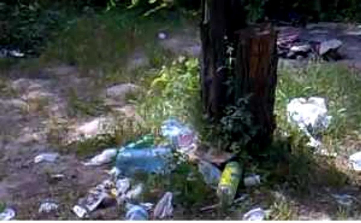 Mizerie în pădure