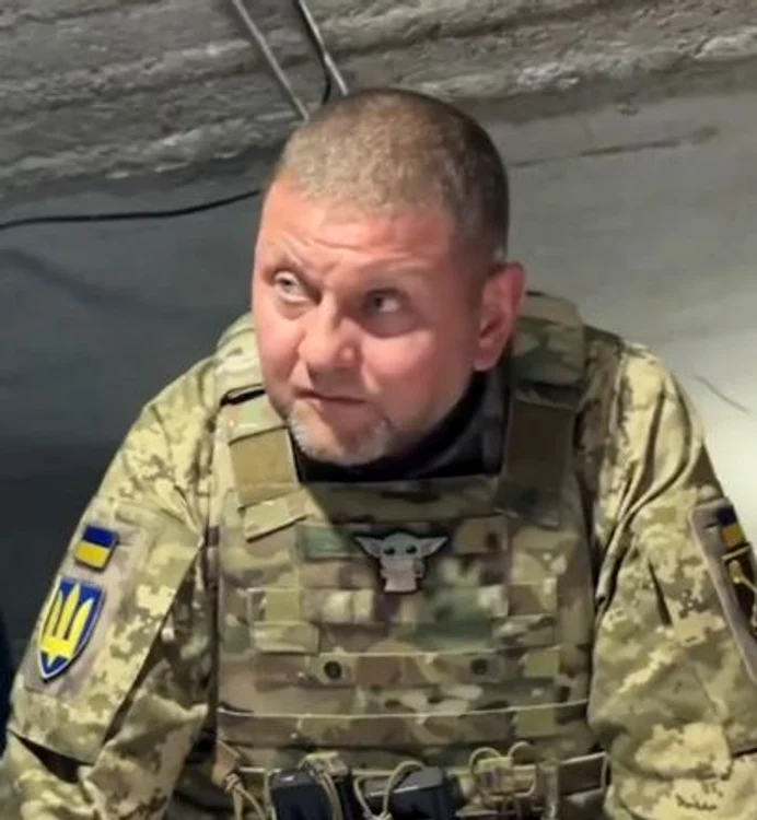 Valeri Zalujnîi cu insigna Baby Yoda FOTO Captura video Faceb jpg