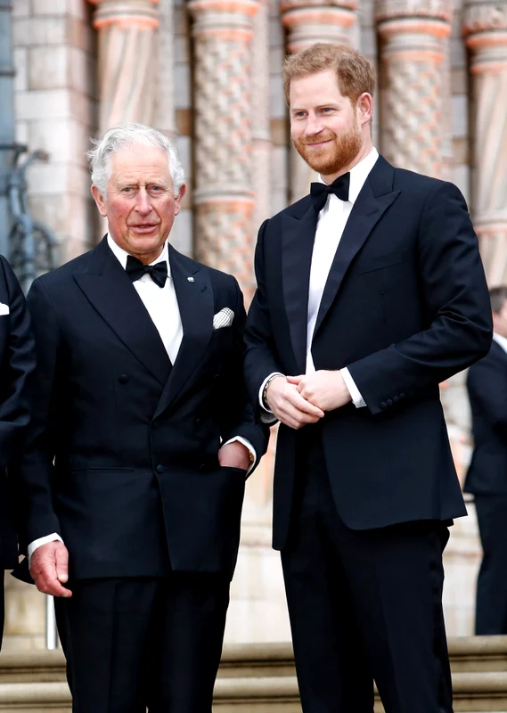 Regele Charles și Prințul Harry