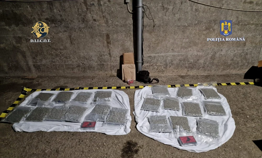Tineri reținuți pentru trafic internațional de cocaină și canabis FOTO: Poliția Română