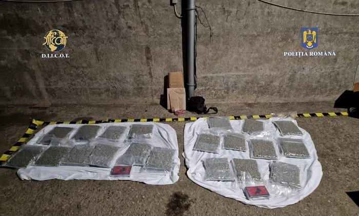 Tineri reținuți pentru trafic internațional de cocaină și canabis FOTO: Poliția Română