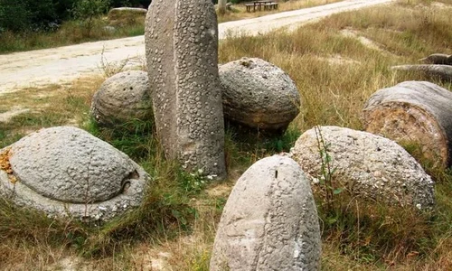 Muzeul rocilor vii jpeg