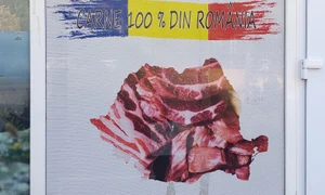 p 24 D  Stanciu jpg