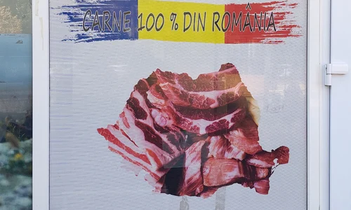 p 24 D  Stanciu jpg