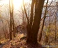 cetatea dacica piatra rosie foto adevarul daniel guta