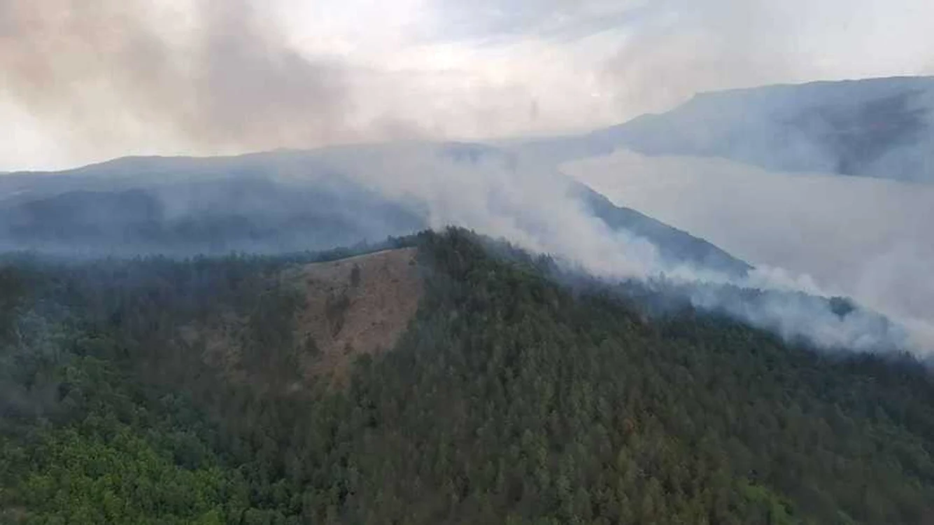 Incendiu în Parcul Naţional Porţile de FierFoto: News.ro