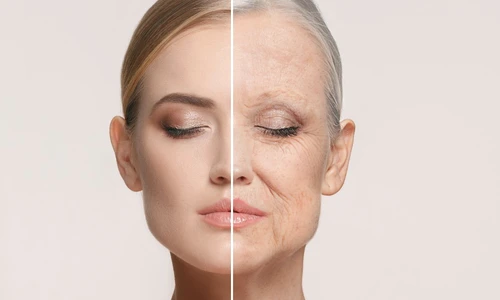 1 shutterstock 1028141632 jpg jpeg